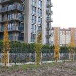 Калининградская область планирует нарастить ввод жилья до 1,5 млн кв. м к 2030 году