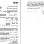 Суд разъяснил мягкий приговор экс-директору Калининградского порта после критики на ТВ