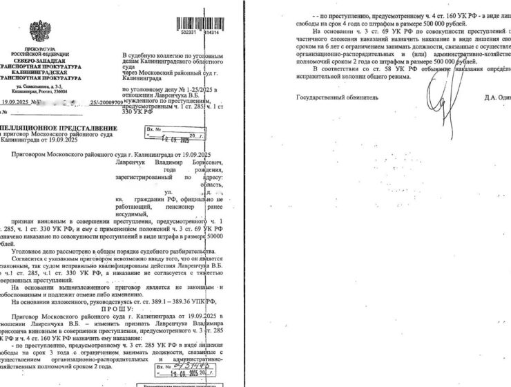 Суд разъяснил мягкий приговор экс-директору Калининградского порта после критики на ТВ