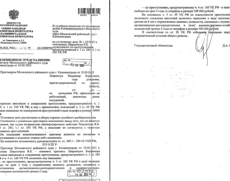 Суд разъяснил мягкий приговор экс-директору Калининградского порта после критики на ТВ