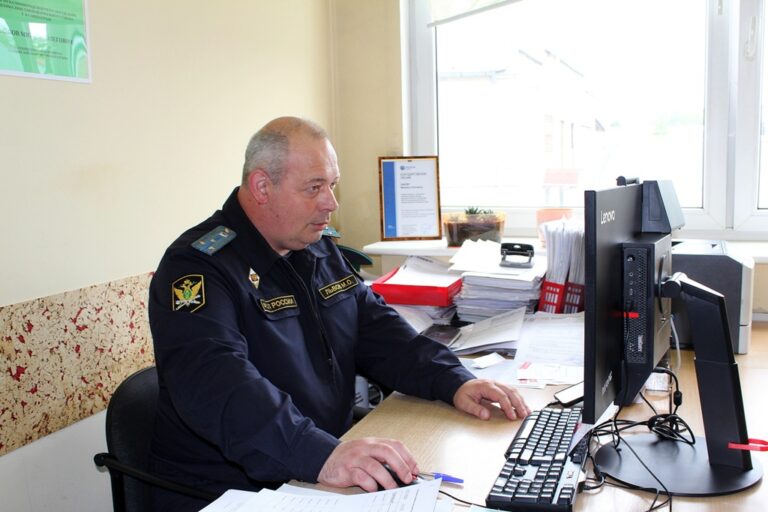 Калининградец погасил долг по налогам в 420 тысяч рублей из-за угрозы продажи имущества