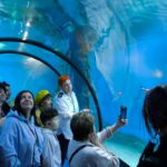 Рекордные праздники: Музей Мирового океана принял почти 70 тысяч гостей в новогодние каникулы