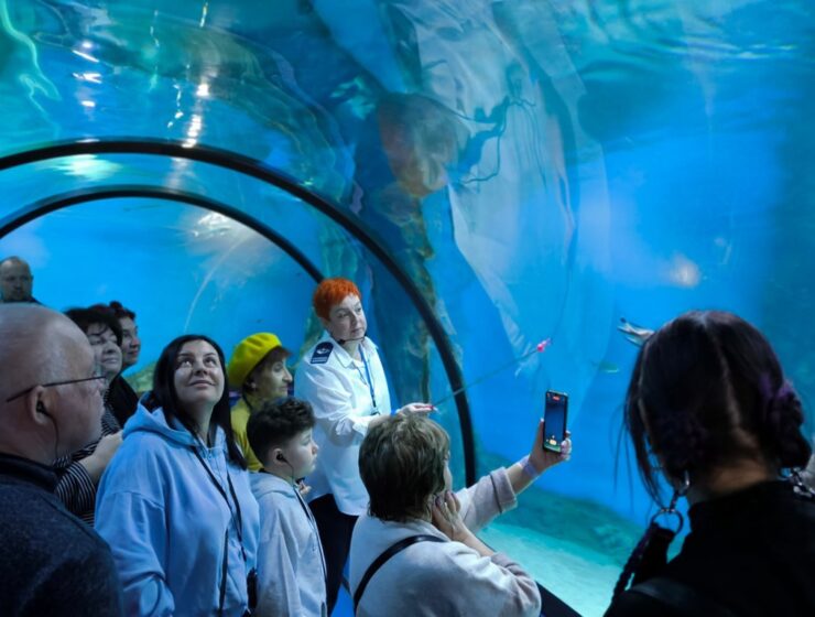 Рекордные праздники: Музей Мирового океана принял почти 70 тысяч гостей в новогодние каникулы