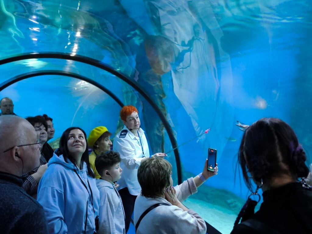 Музей Мирового океана в Калининграде Музей Мирового океана в Калининграде