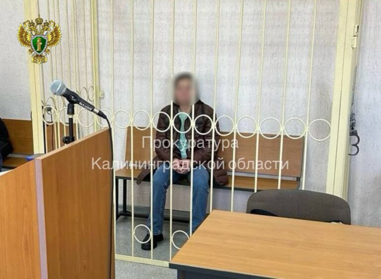 В Калининградской области заключили под стражу женщину, обвиняемую в убийстве сожителя