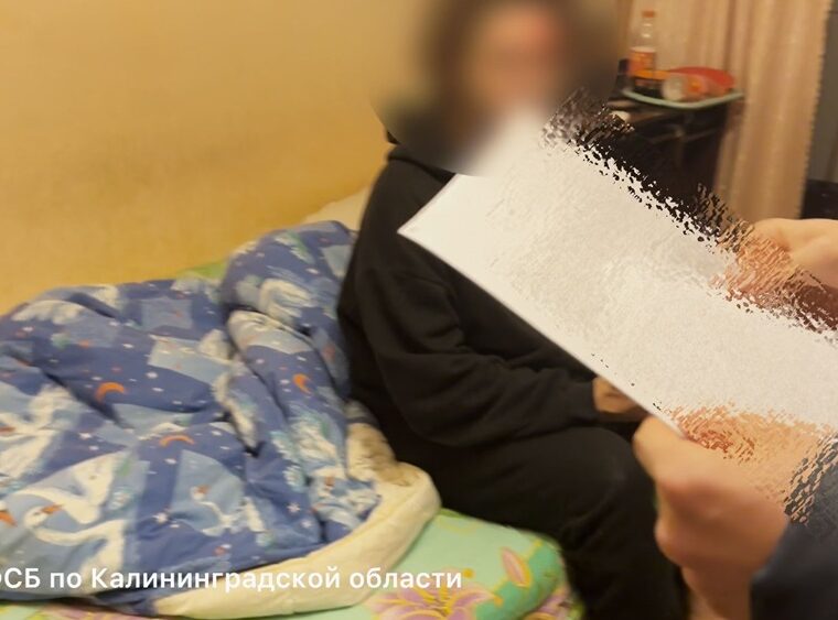 Цена одного комментария: в Калининграде 21-летнему мужчине грозит до 5 лет колонии