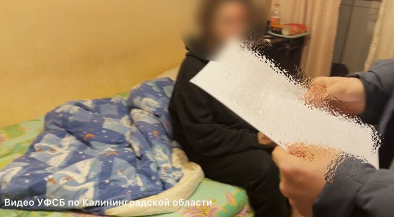 Цена одного комментария: в Калининграде 21-летнему мужчине грозит до 5 лет колонии