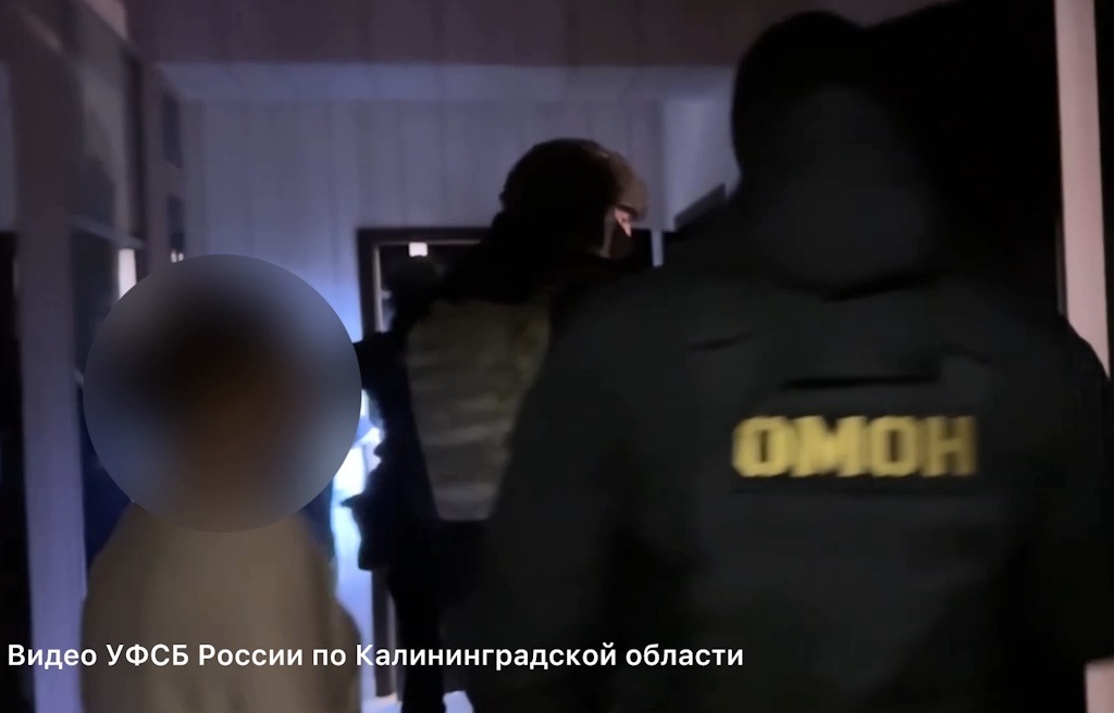 В Калининграде женщину подозревают в призывах к терроризму в Telegram-канале