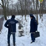 В&nbsp;Черняховске проверяют незаконный отвод земли с&nbsp;водоёмом в&nbsp;частные руки