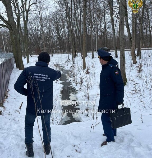 В&nbsp;Черняховске проверяют незаконный отвод земли с&nbsp;водоёмом в&nbsp;частные руки