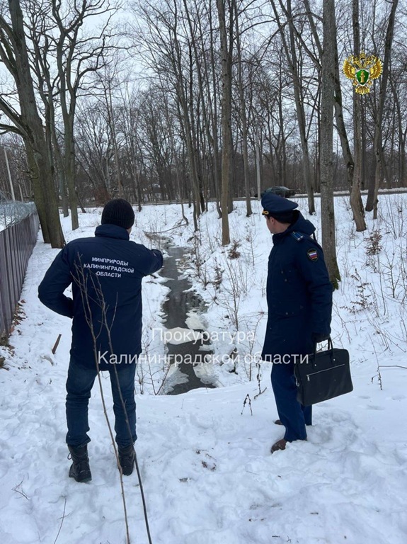 В Черняховске проверяют незаконный отвод земли с водоёмом в частные руки