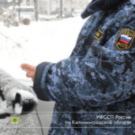 Должник из&nbsp;Правдинского района погасил кредит в&nbsp;370 тысяч после ареста счетов и&nbsp;машины