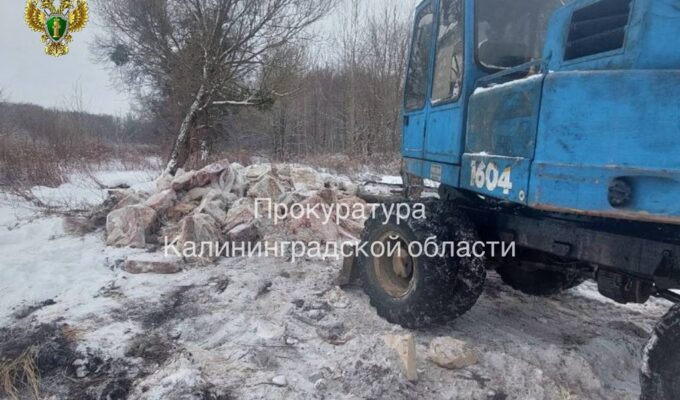 В&nbsp;Калининграде прокуратура проверяет незаконное размещение биологических отходов