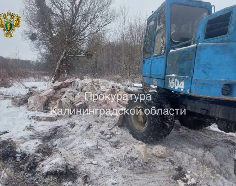 В&nbsp;Калининграде прокуратура проверяет незаконное размещение биологических отходов