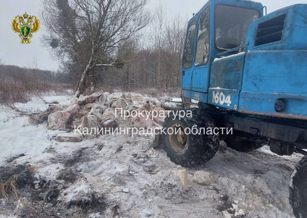 В Калининграде прокуратура проверяет незаконное размещение биологических отходов