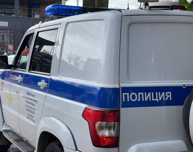 В&nbsp;Калининграде задержали женщину из&nbsp;федерального розыска за&nbsp;кражу