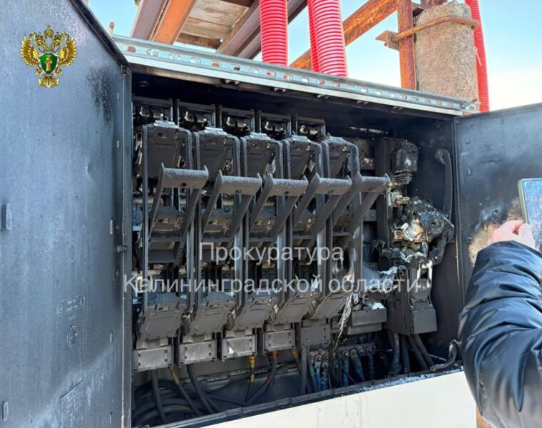 Прокуратура взяла на&nbsp;контроль ликвидацию крупной аварии на&nbsp;электросетях в&nbsp;садоводстве под Калининградом