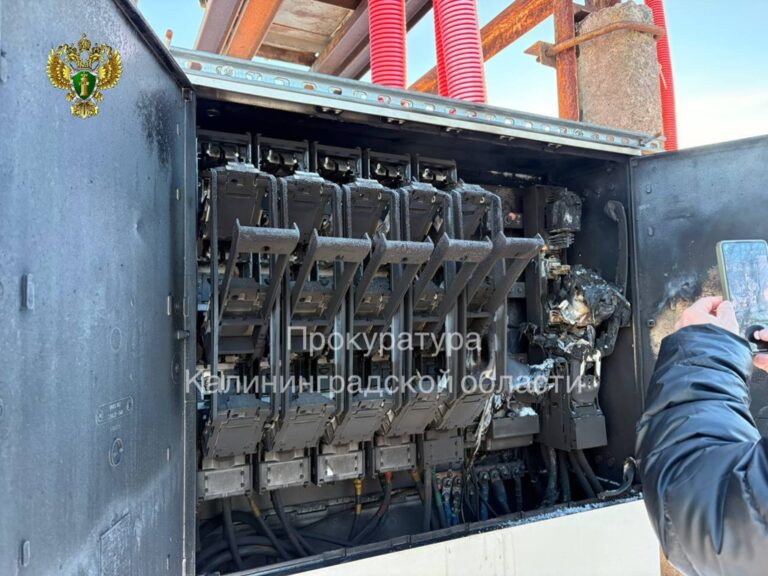 Прокуратура взяла на&nbsp;контроль ликвидацию крупной аварии на&nbsp;электросетях в&nbsp;садоводстве под Калининградом