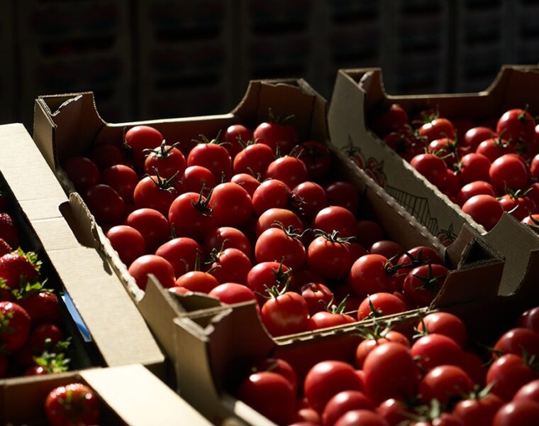 &laquo;Вирусные&raquo; томаты на&nbsp;6 тонн задержаны на&nbsp;калининградской границе