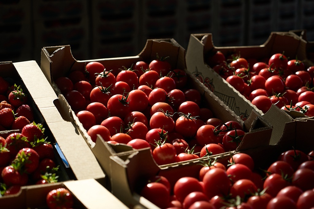 «Вирусные» томаты на 6 тонн задержаны на калининградской границе «Вирусные» томаты на 6 тонн задержаны на калининградской границе