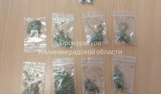 Житель Светлого предстанет перед судом по&nbsp;обвинению в&nbsp;покушении на&nbsp;сбыт наркотиков