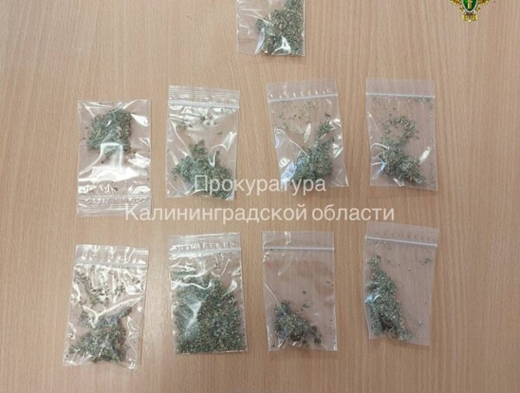 Житель Светлого предстанет перед судом по&nbsp;обвинению в&nbsp;покушении на&nbsp;сбыт наркотиков