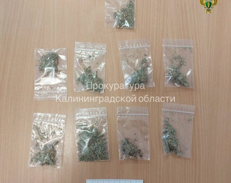 Житель Светлого предстанет перед судом по&nbsp;обвинению в&nbsp;покушении на&nbsp;сбыт наркотиков