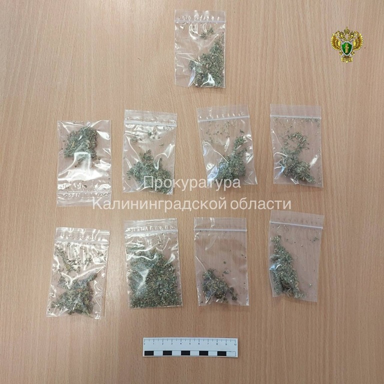 Житель Светлого предстанет перед судом по обвинению в покушении на сбыт наркотиков