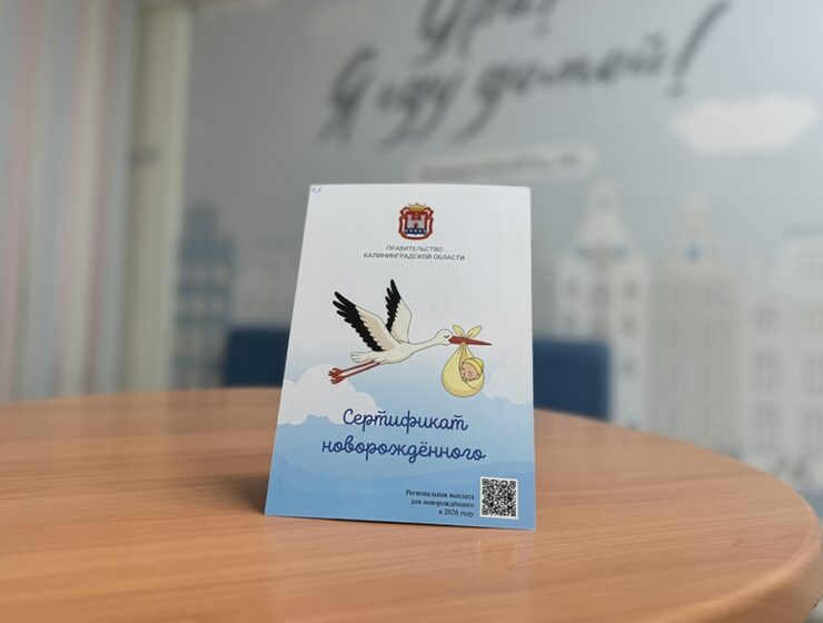 В&nbsp;Калининградской области вводят &laquo;Сертификат новорождённого&raquo; на&nbsp;10 тысяч рублей