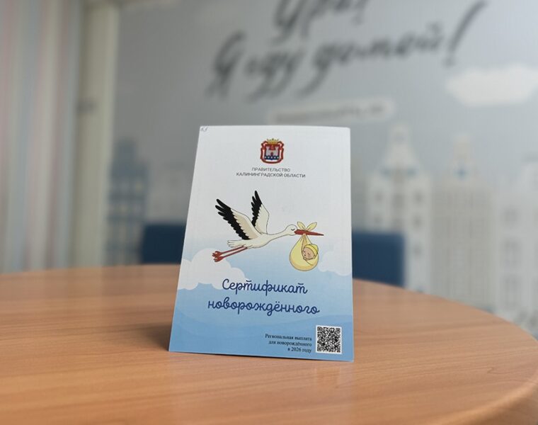 В&nbsp;Калининградской области вводят &laquo;Сертификат новорождённого&raquo; на&nbsp;10 тысяч рублей