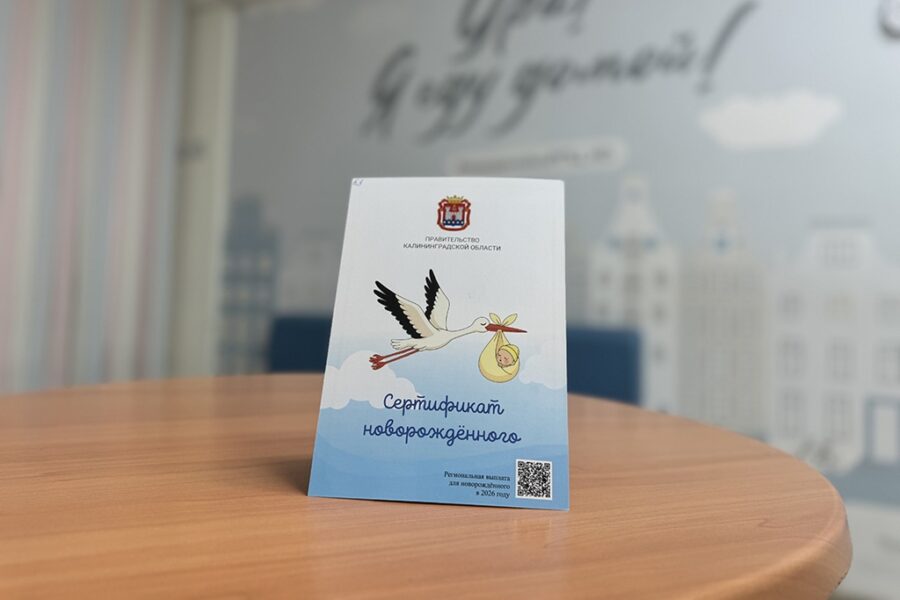В&nbsp;Калининградской области вводят &laquo;Сертификат новорождённого&raquo; на&nbsp;10 тысяч рублей