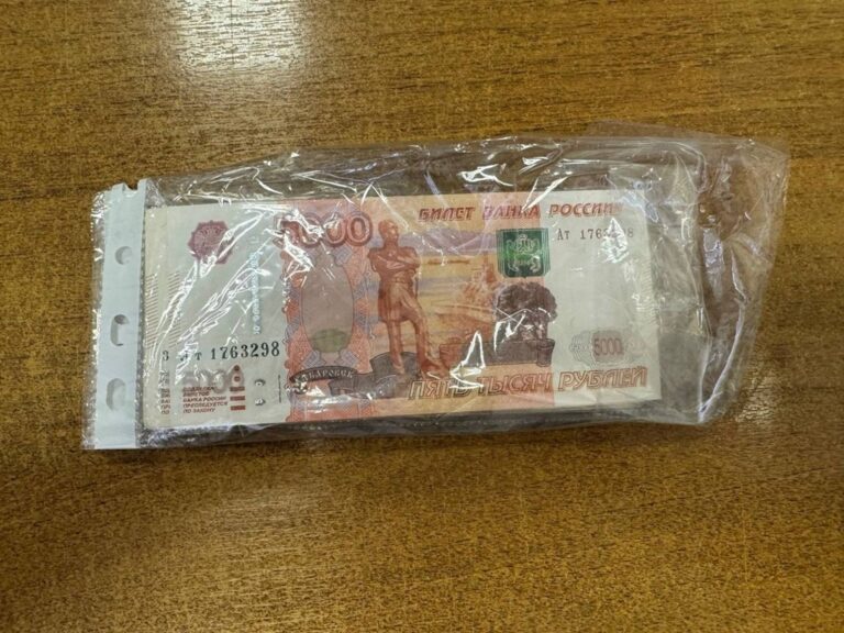 Калининградка-рецидивистка обманула пенсионерку с&nbsp;квартирой села на&nbsp;12,5 лет