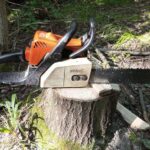 В&nbsp;Неманском районе пенсионер спилил вековую сосну и&nbsp;попал под уголовное дело