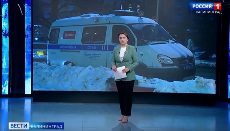 В&nbsp;Калининграде эвакуировали отель &laquo;Рэдиссон&raquo; из-за&nbsp;сообщения о&nbsp;минировании