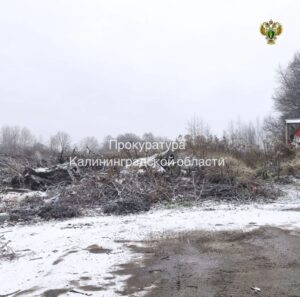В&nbsp;Зеленоградском районе убрали незаконную свалку после вмешательства прокуратуры