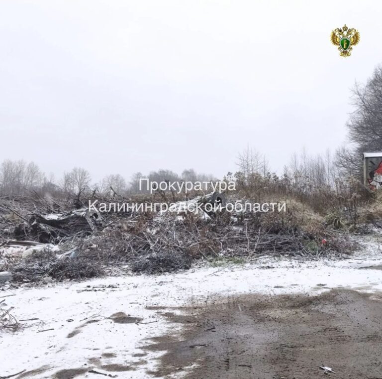 В&nbsp;Зеленоградском районе убрали незаконную свалку после вмешательства прокуратуры