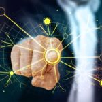 Bitget и&nbsp;Arkis объединились для расширения институциональной торговли