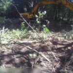 Директор стройфирмы и&nbsp;экскаваторщик пойдут под суд за&nbsp;вырубку 32 деревьев под Зеленоградском