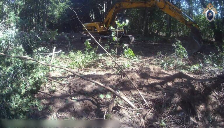 Директор стройфирмы и&nbsp;экскаваторщик пойдут под суд за&nbsp;вырубку 32 деревьев под Зеленоградском