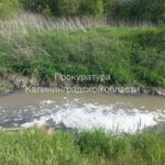 &laquo;Балтптицепром&raquo; в&nbsp;Люблино сбрасывал грязные стоки в&nbsp;реку без разрешения