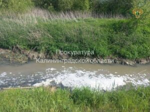 &laquo;Балтптицепром&raquo; в&nbsp;Люблино сбрасывал грязные стоки в&nbsp;реку без разрешения
