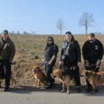 Калининградские приставы привезли 40 кило корма в&nbsp;приют &laquo;Славянское&raquo; и&nbsp;выгуляли собак