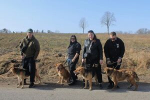 Калининградские приставы привезли 40 кило корма в&nbsp;приют &laquo;Славянское&raquo; и&nbsp;выгуляли собак