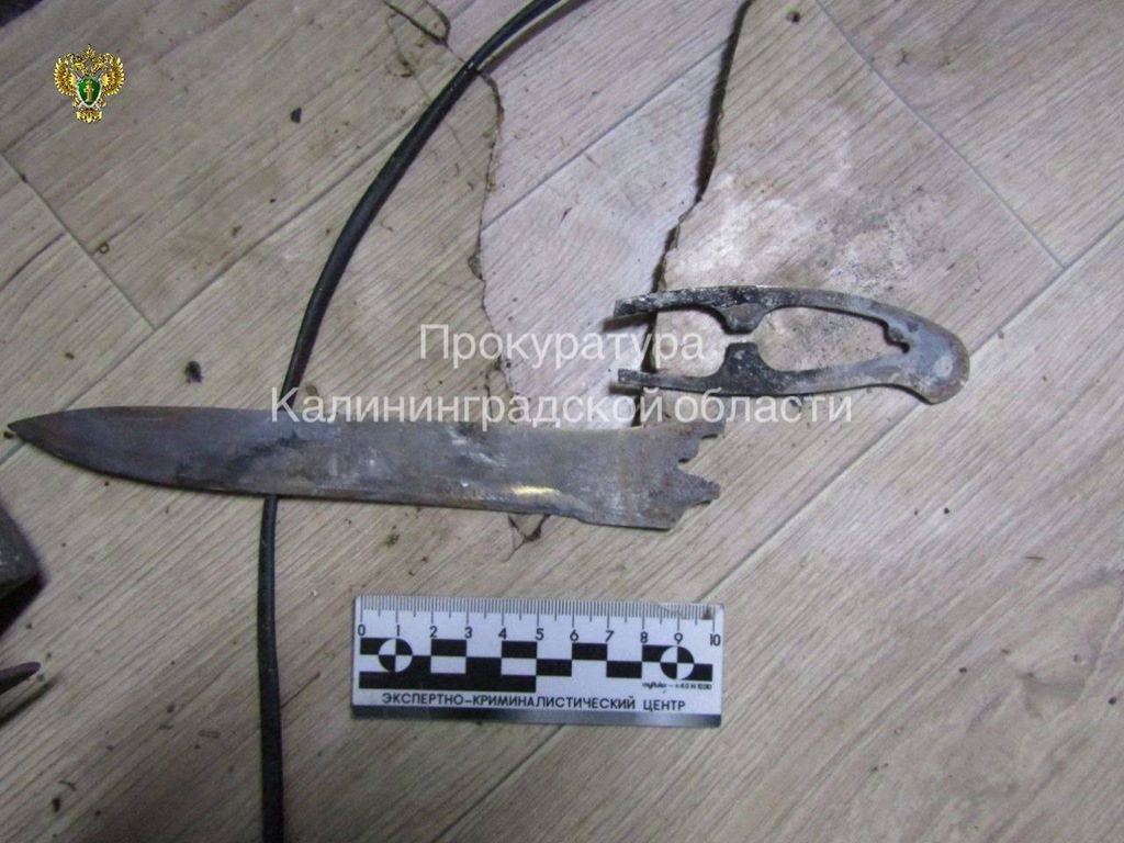 Пьяная ссора в&nbsp;Немане: женщина ударила мусатом бывшего мужа и&nbsp;ранила гостя