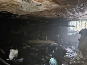 На&nbsp;Яналова в&nbsp;Калининграде горел подвал многоэтажки: спасатели вынесли из&nbsp;дыма женщину и&nbsp;трёх собак