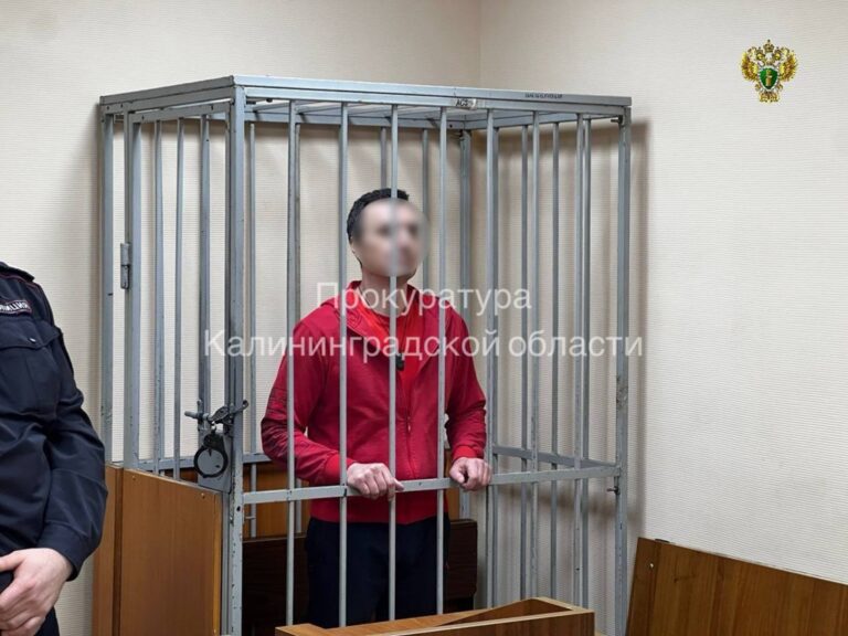 Калининградец получил 11 лет колонии за&nbsp;контрабанду наркотиков из-за&nbsp;границы и&nbsp;попытку дать взятку