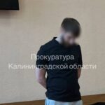 В&nbsp;Светлом осудили за&nbsp;покушение на&nbsp;сбыт 42 г марихуаны