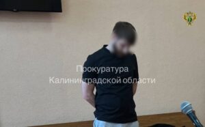 В&nbsp;Светлом осудили за&nbsp;покушение на&nbsp;сбыт 42 г марихуаны