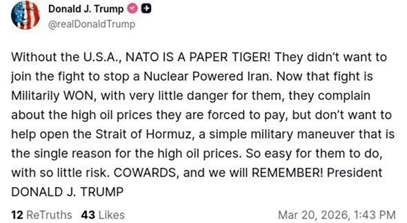 Трамп назвал союзников по НАТО «трусами» из-за Ормузского пролива и войны с Ираном