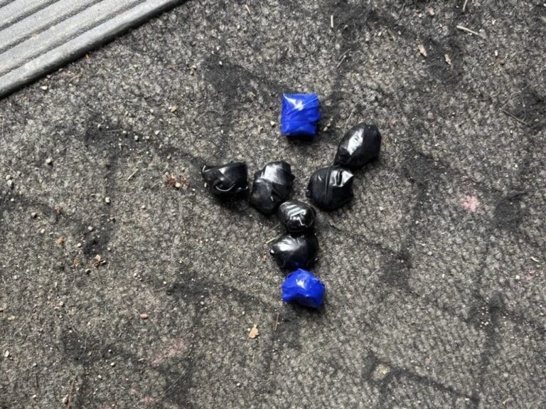 Братья из&nbsp;Калининграда попались на&nbsp;железнодорожном перегоне с&nbsp;80 граммами &laquo;соли&raquo; и&nbsp;амфетамином